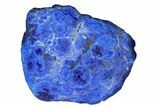 Vivid Blue, Cut/Polished Azurite Nodule - Siberia #175540-1